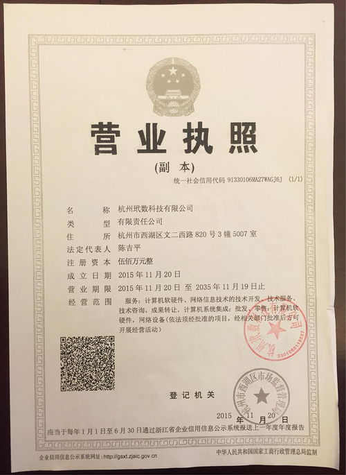 杭州玳數(shù)科技 引領基礎軟件服務，驅(qū)動企業(yè)數(shù)字化轉(zhuǎn)型